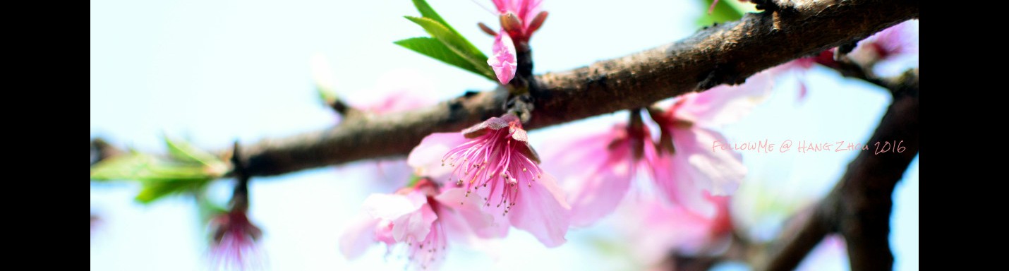 陽春三月訪杭州 Spring in HangZhou 1