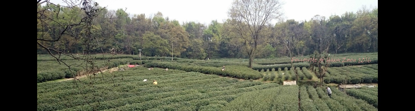 陽春三月訪杭州 Spring in HangZhou 3