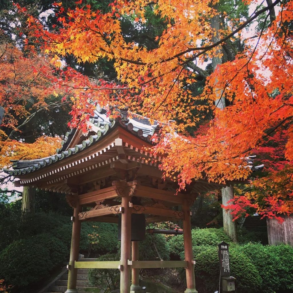 九州紅葉 7大九州睇紅葉必去景點推介行程 永安旅遊