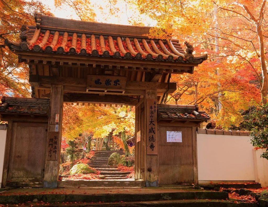 大阪紅葉 7大大阪睇紅葉必去景點推介行程 永安旅遊