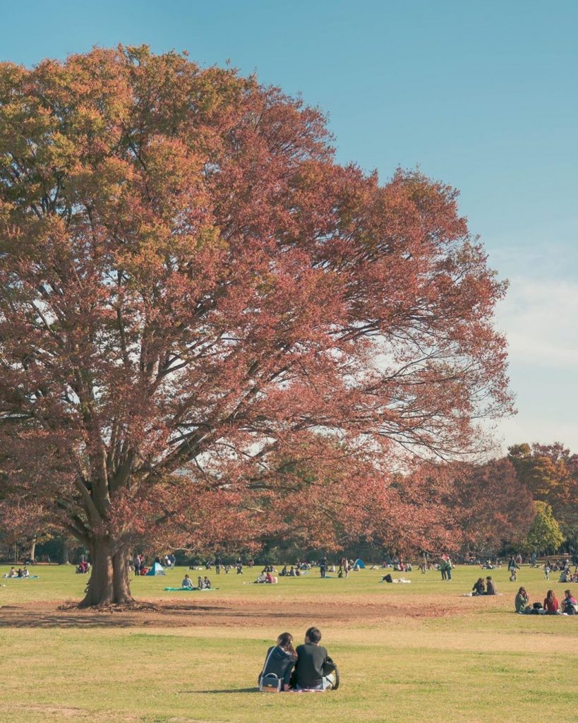 東京紅葉19 7大東京睇紅葉必去景點推介行程 永安旅遊