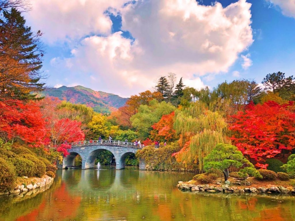 釜山紅葉 5大釜山紅葉景點推介 永安旅遊