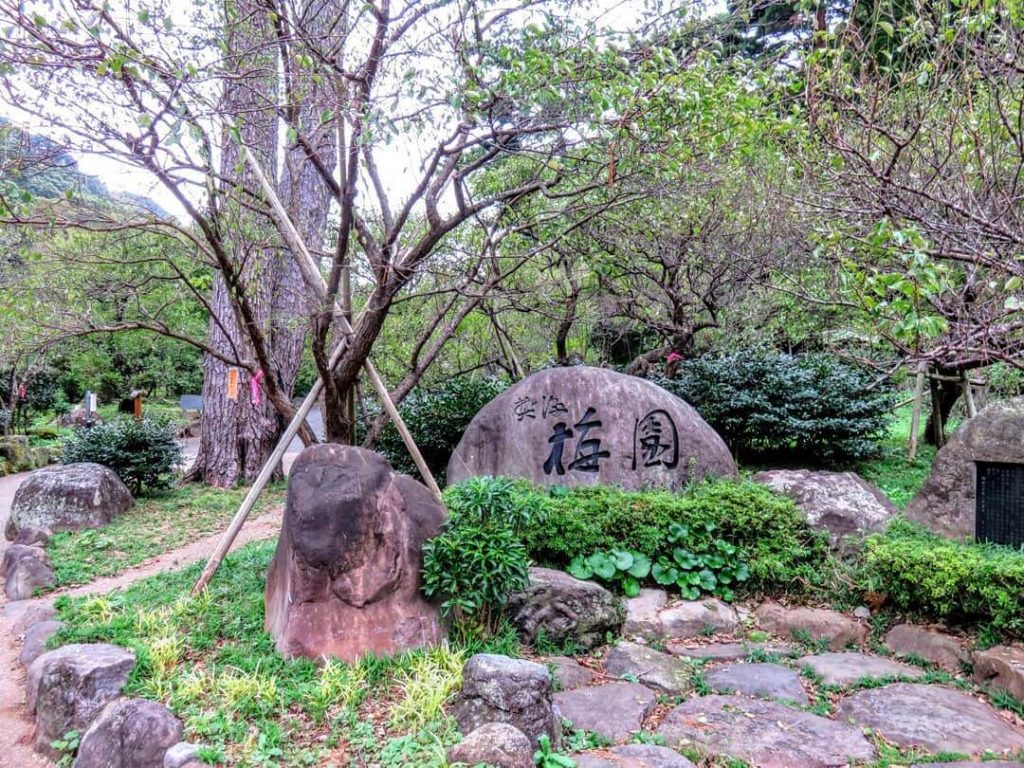 熱海溫泉 打卡露天熱海溫泉景點再追梅花縱 來宮神社參拜 永安旅遊