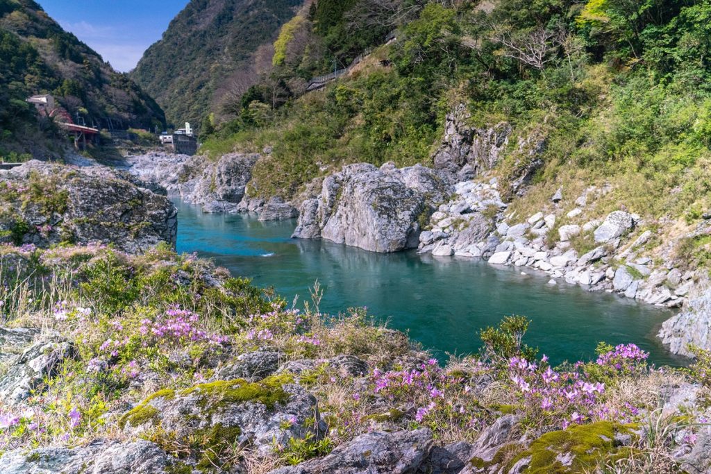 【德島景點2024】8大必去德島景點推介 ｜ 鳴門漩渦 / 日本三大奇橋 / 德島主題樂園