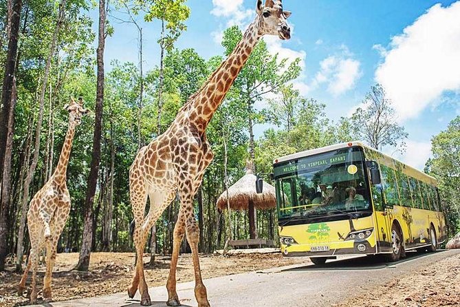 富國島自由行 | 玩盡6大富國島自由行景點 野生動物園 / 越南夜市 / 越南打卡熱點