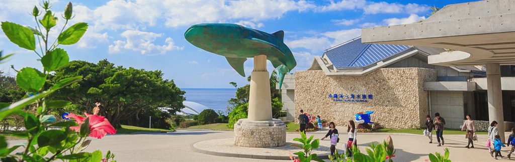 沖繩景點｜美麗海水族館