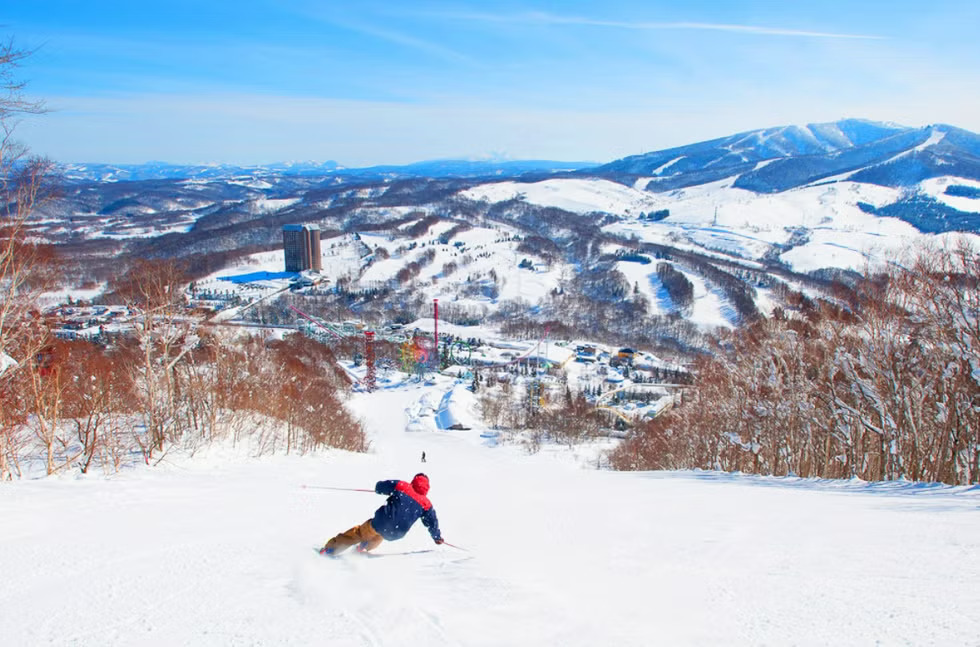 2024北海道滑雪精選 | 5大北海道滑雪場 人氣滑雪場 / 星級渡假村 / 精彩滑雪道