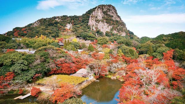 九州JR Pass | JR九州廣域周遊券攻略 一券在手飽覽福岡 / 熊本 / 鹿兒島