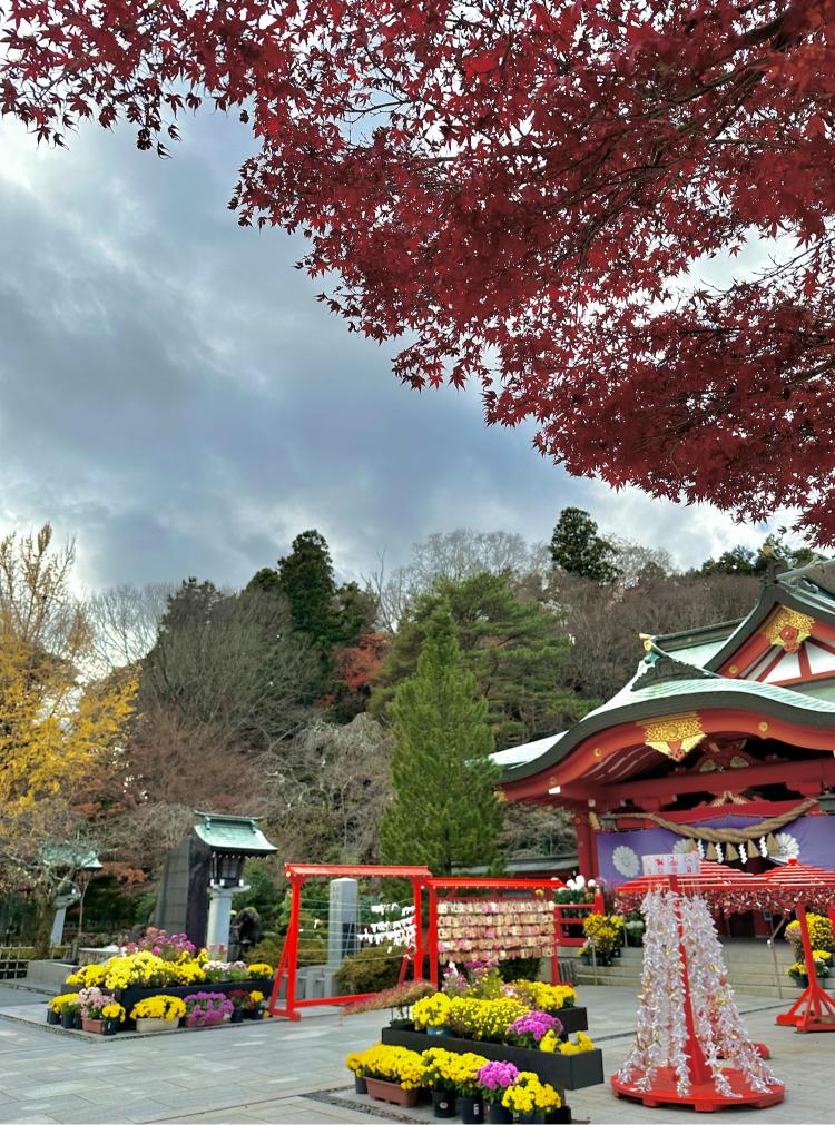 仙台景點 | 嚴選7個仙台必訪人氣景點 仙台城跡 / 輪王寺 / 仙台大觀音