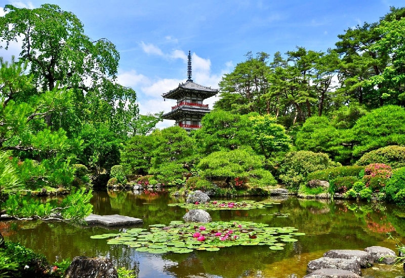 仙台景點 | 嚴選7個仙台必訪人氣景點 仙台城跡 / 輪王寺 / 仙台大觀音